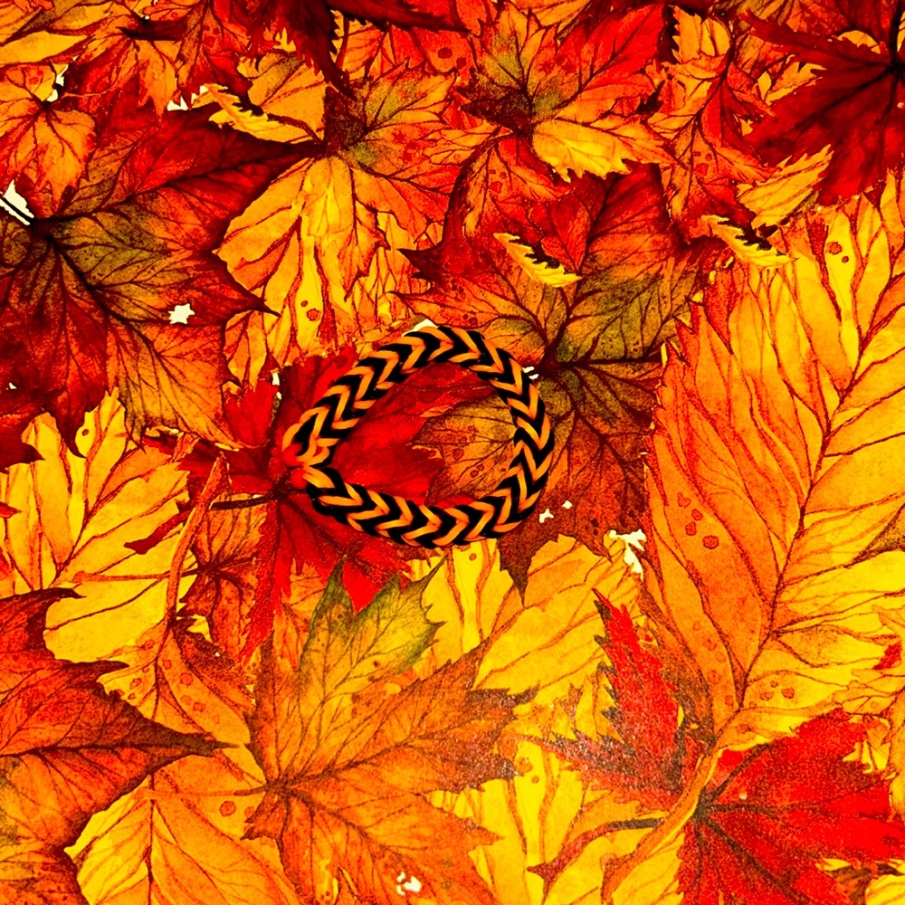 like the scent of fall is here 🍂 🍁🥧